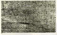 Photographie en noir et blanc du tissu du Suaire ; l'aspect en chevrons est parfaitement visible. Pour donner l'chelle, la largeur de l'chantillon photographi est d'environ 3 cm.  (15099 octets)